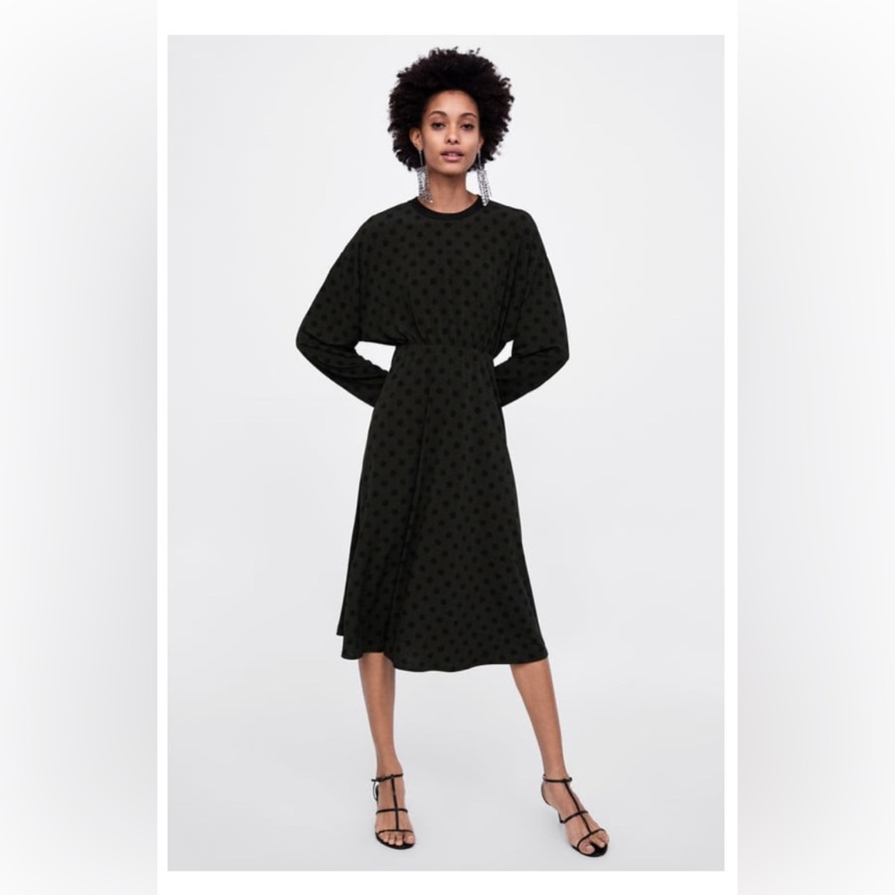 Zara Polka Dot Dress